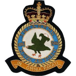 Royal Air Force Blazer Badge, 24 Squadron, Wire