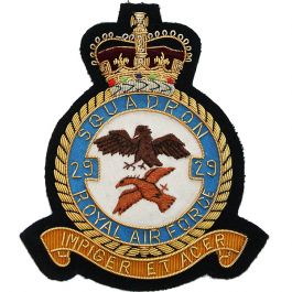 Royal Air Force Blazer Badge, 29 Squadron, Wire