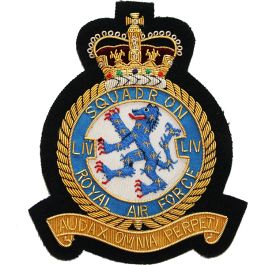 Royal Air Force Blazer Badge, 54 Squadron, Wire